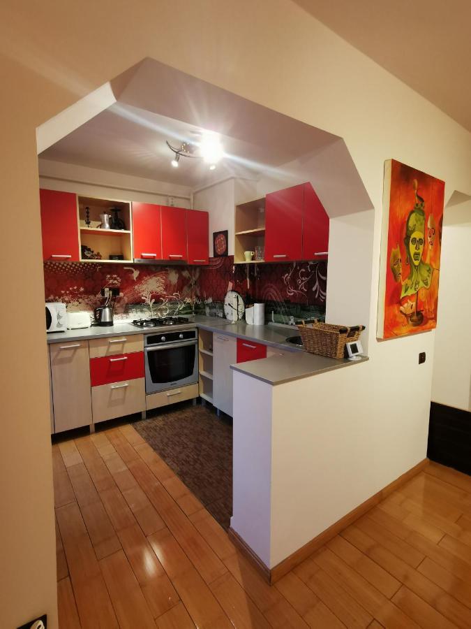 Comfy & Pleasant Apartment 10 Min Walk To Downtown Temešvár Exteriér fotografie