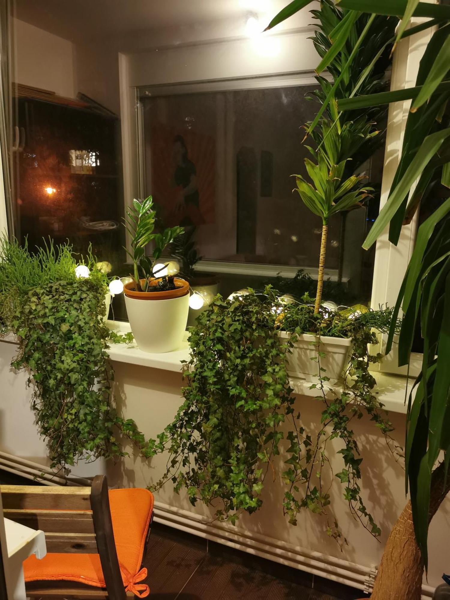 Comfy & Pleasant Apartment 10 Min Walk To Downtown Temešvár Exteriér fotografie